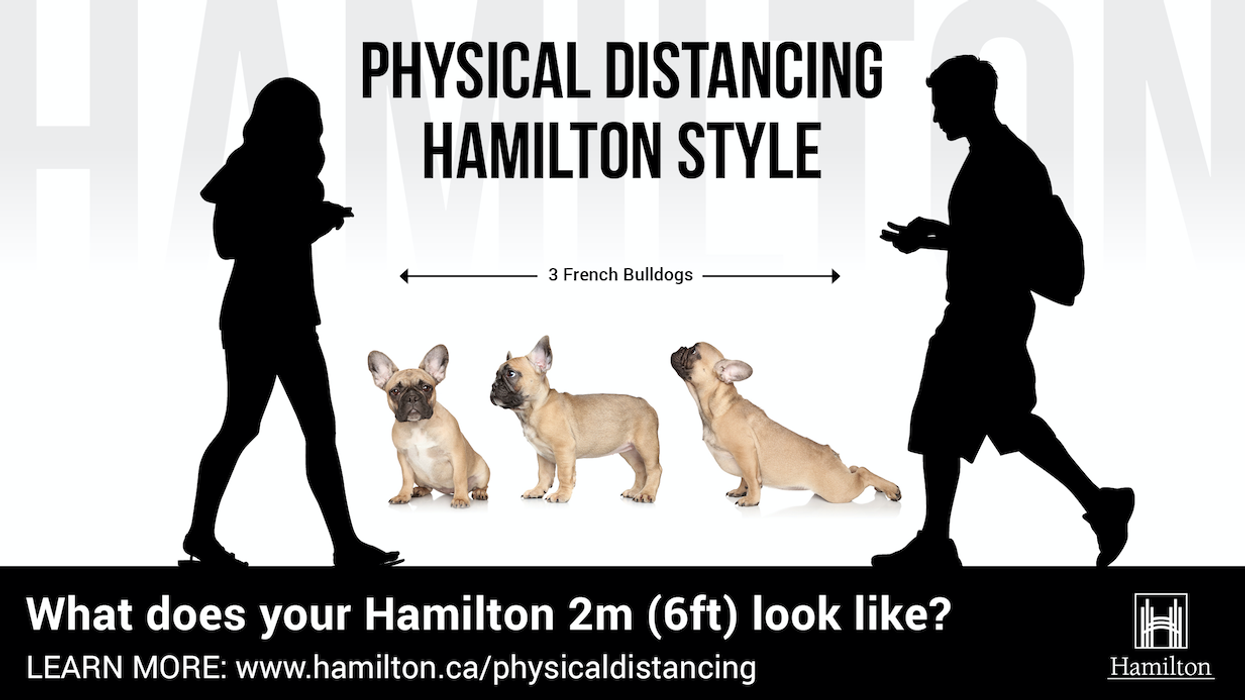 Hamilton's Distancing Signs Are Using French Bulldogs To Get Young Adults To Distance