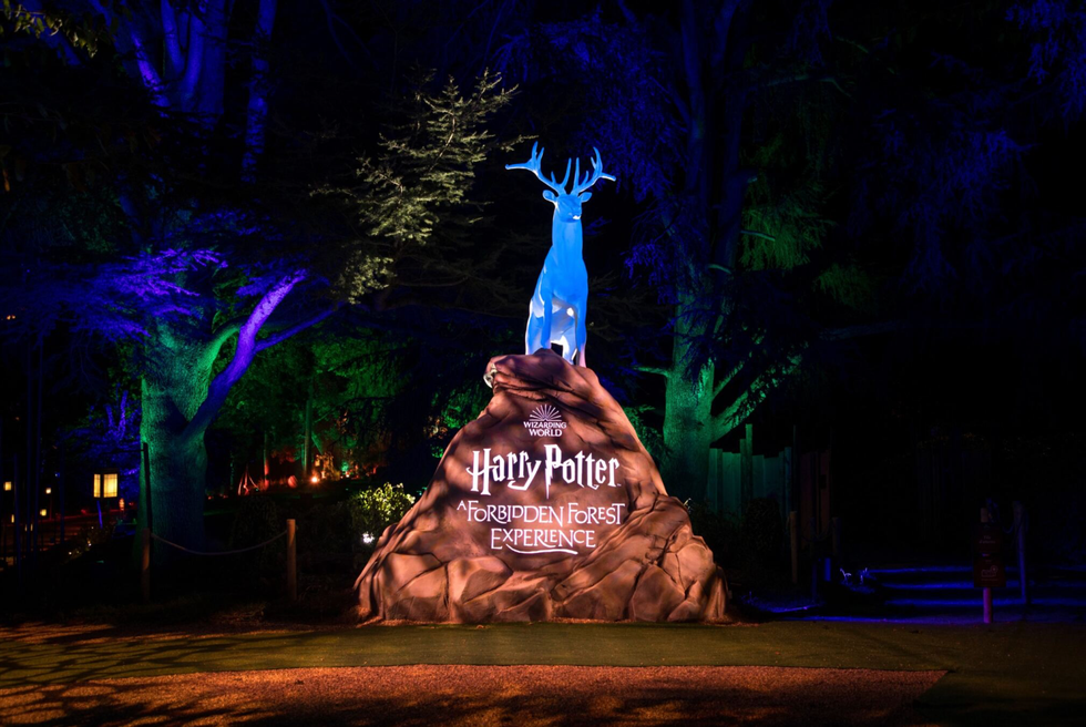 Harry Potter: A Forbidden Forest Experience makes its Canadian debut on November 7, 2025.