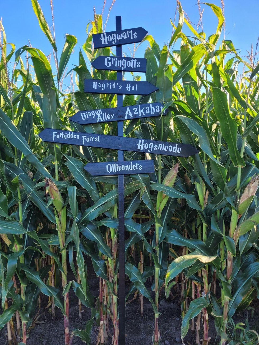 'Harry Potter' locations sign in an Ontario corn maze.