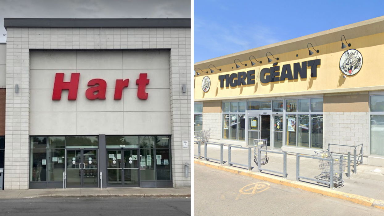 Hart. Droite : Tigre Géant.
