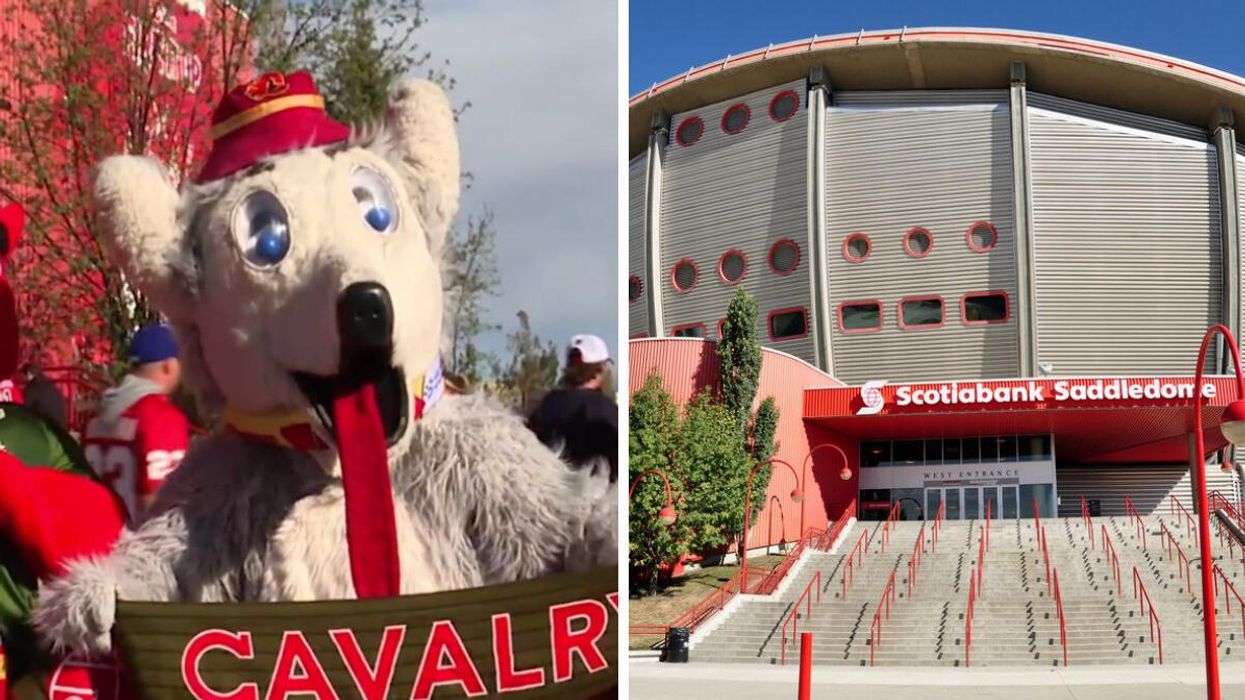Harvey the Hound. Right: Saddledome.