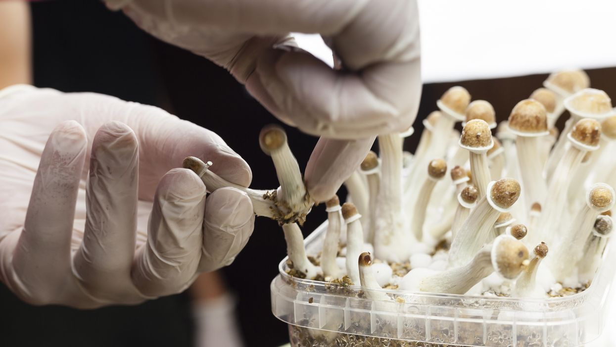 Health Canada Is Now Allowing Doctors To Give Some Patients Access to Psychedelics