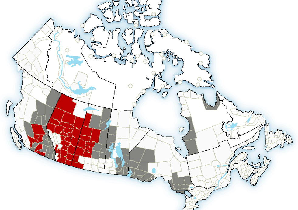 Heatwave In Canada: Western Canada Is About To Get Rocked With More Extreme Heat