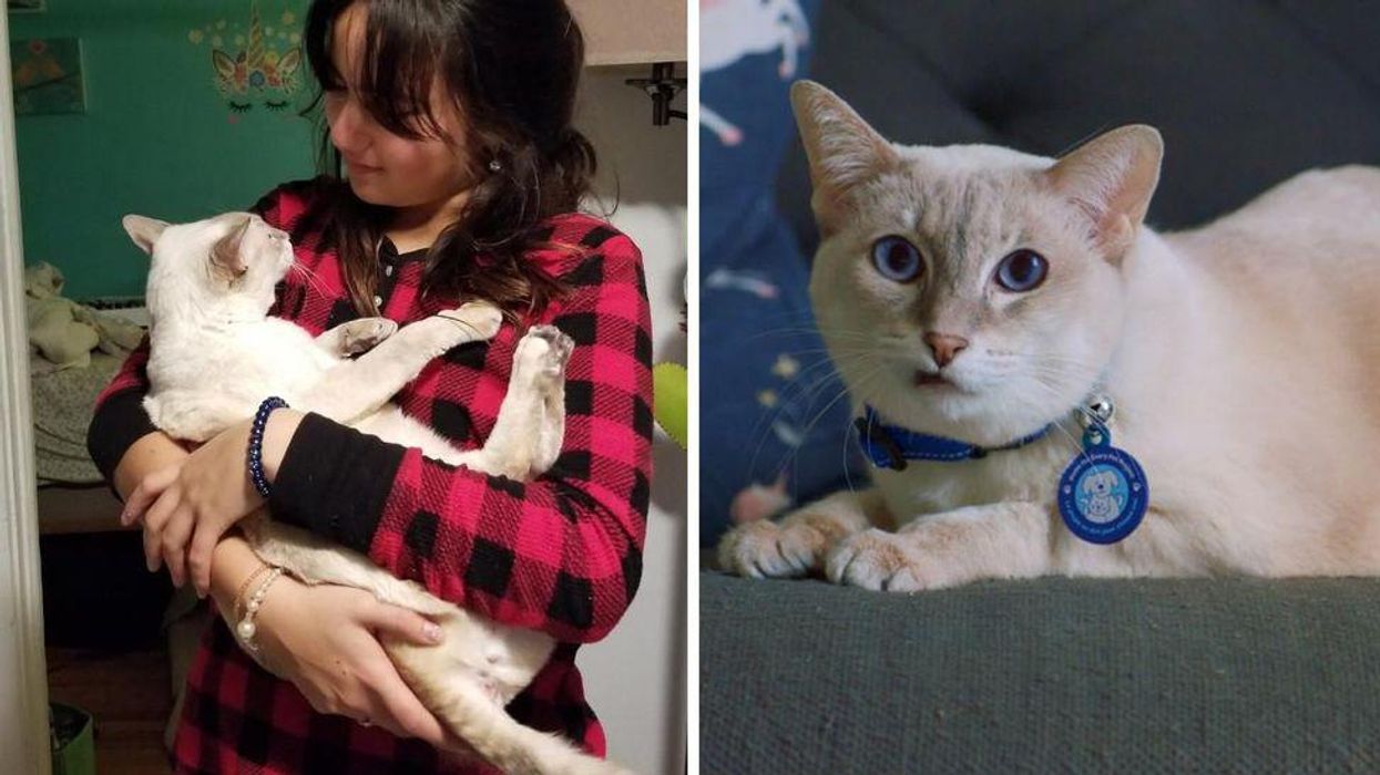 Here's Why This Toronto Family Adopted A Senior Cat With Asthma