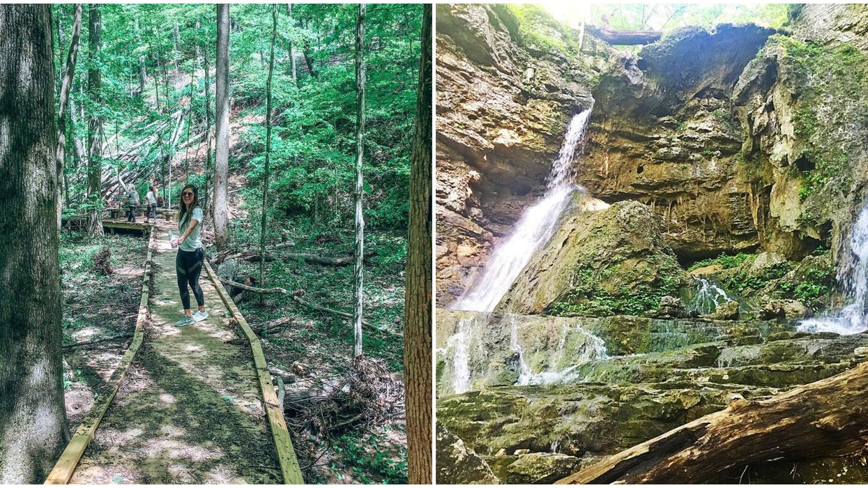 Hidden Trail In North Georgia Has Hundreds Of Blooming Flowers