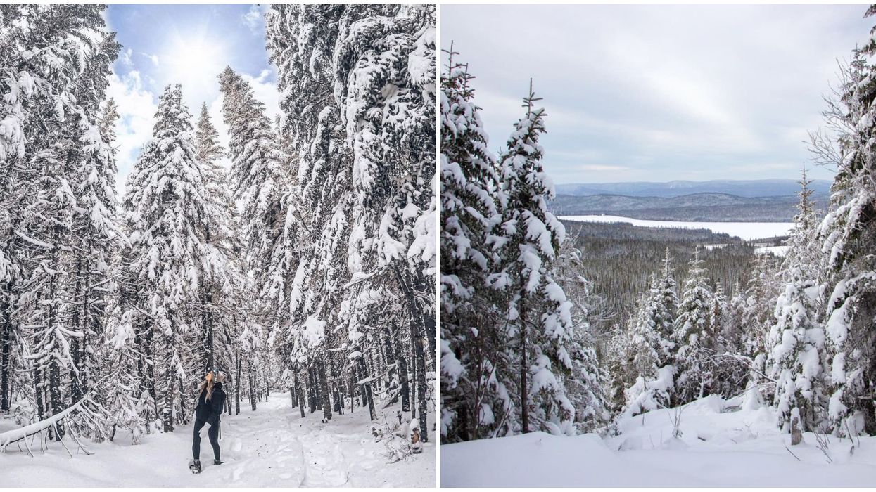 « Hike » en hiver près de Québec