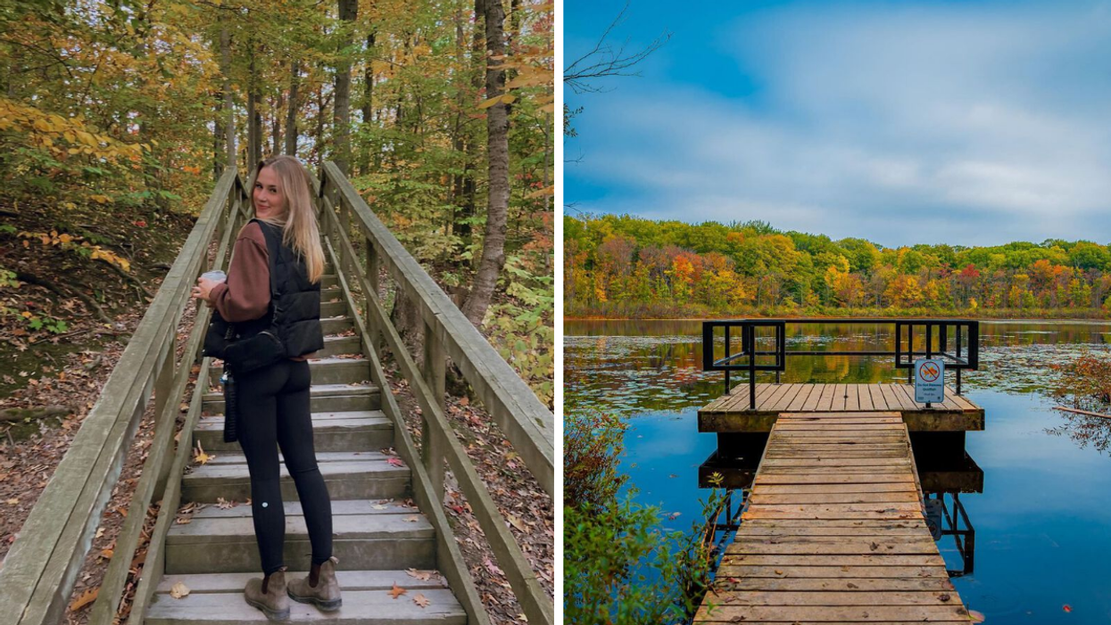 Hiker on a forest staircase. Right: Boardwalk trail going over a pond.