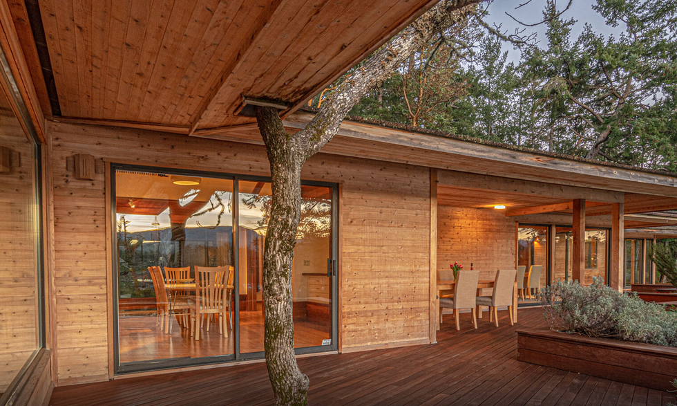 Home with a tree built-in.