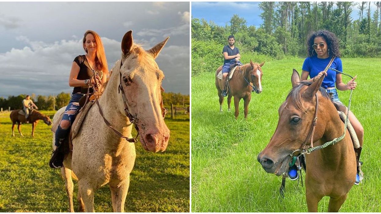 Horseback Riding In Florida Is Super Cheap With This Groupon Deal