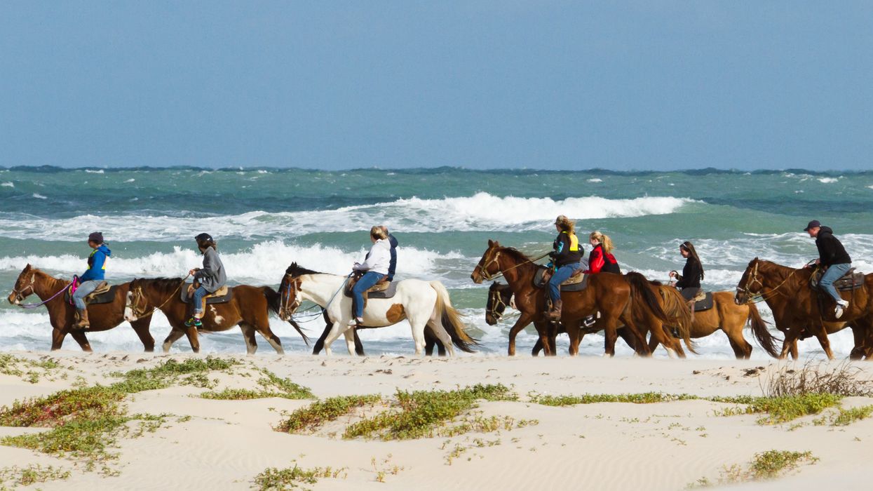 Horseback riding on the beach of South Padre Island, TX.