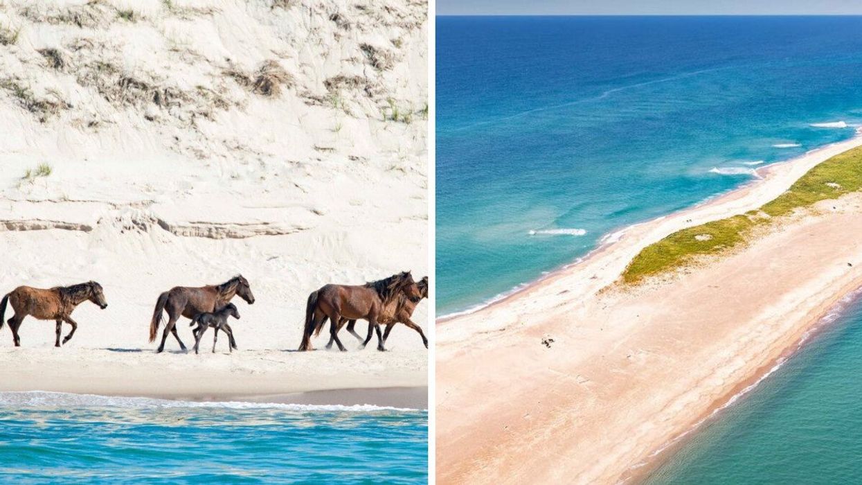 Horses on Sable Island. Right: Sable Island, Canada.