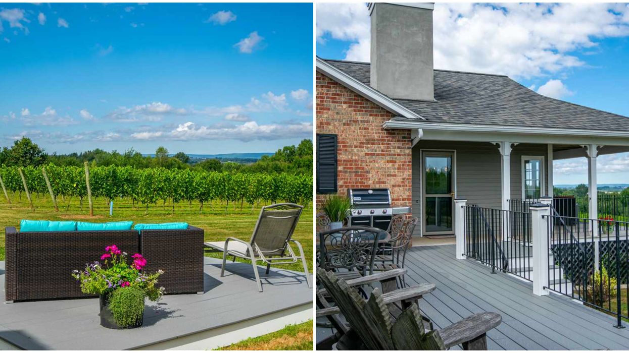 House For Sale In Nova Scotia Comes With Grapevines & You Could Start Your Own Winery