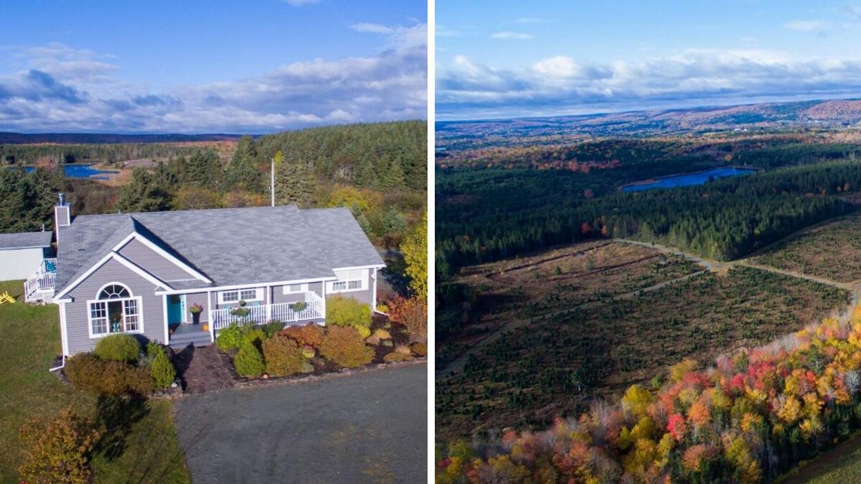 House for sale in Nova Scotia surrounded by trees with a private lake behind it. Right: Christmas tree farm that comes with the house for sale.