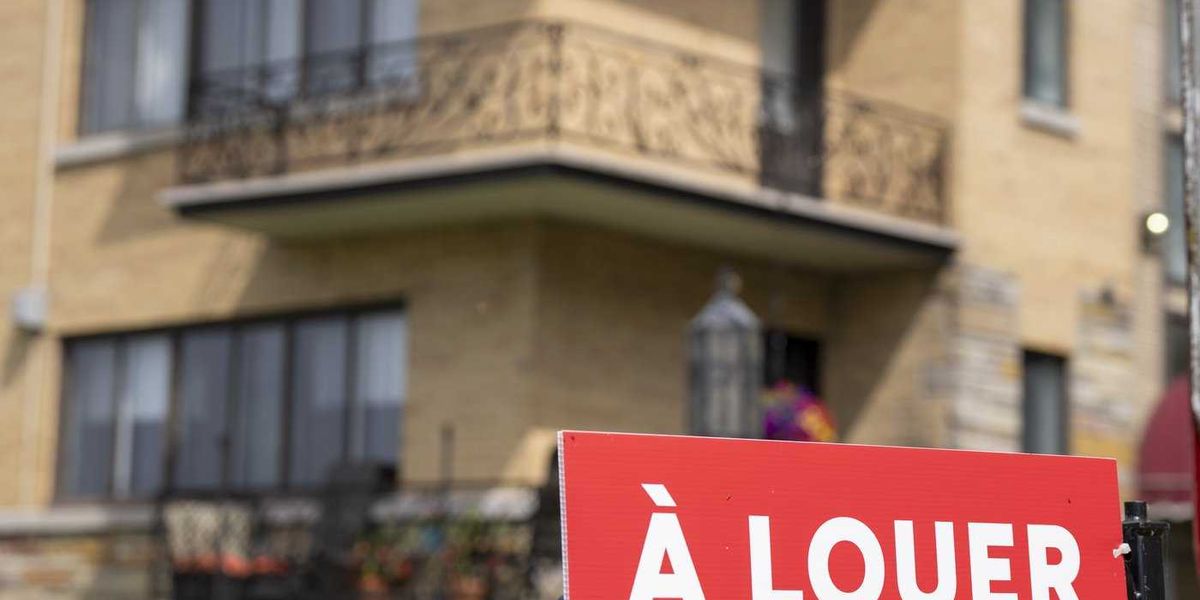 Housing crisis is a driver of domestic violence and school dropouts: think tank Housing crisis is a driver of domestic violence and school dropouts: think tank