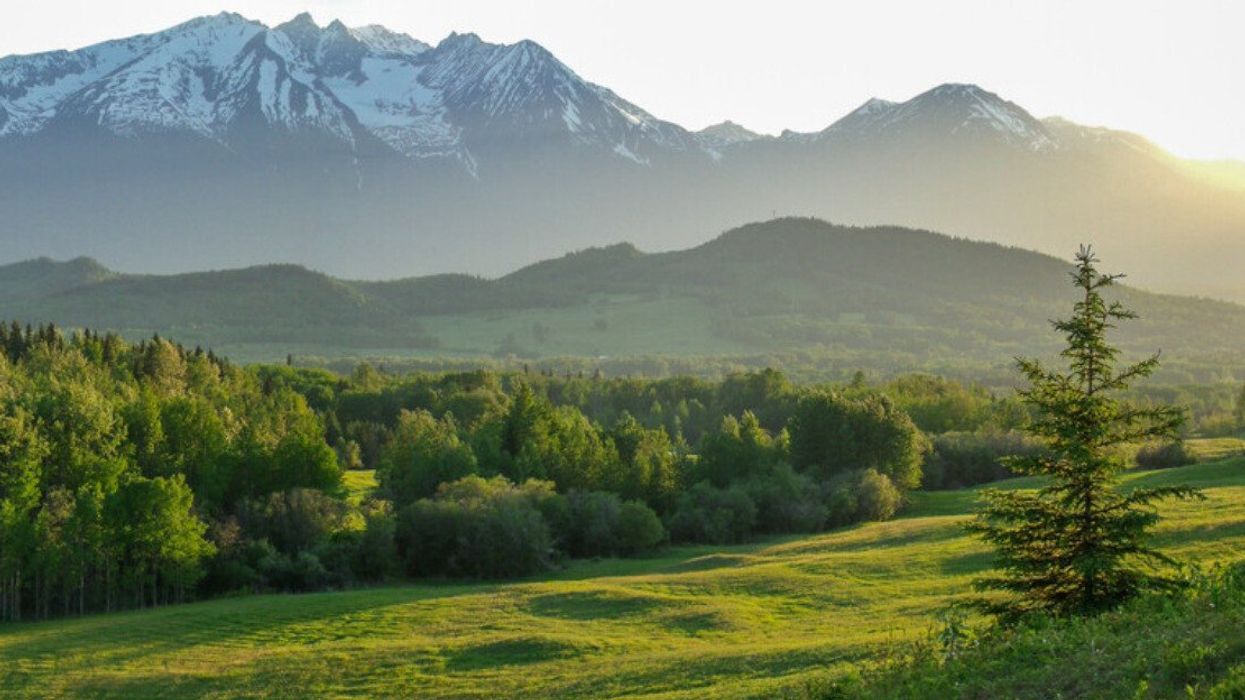 Hudson Bay Mountain in Smithers, B.C.