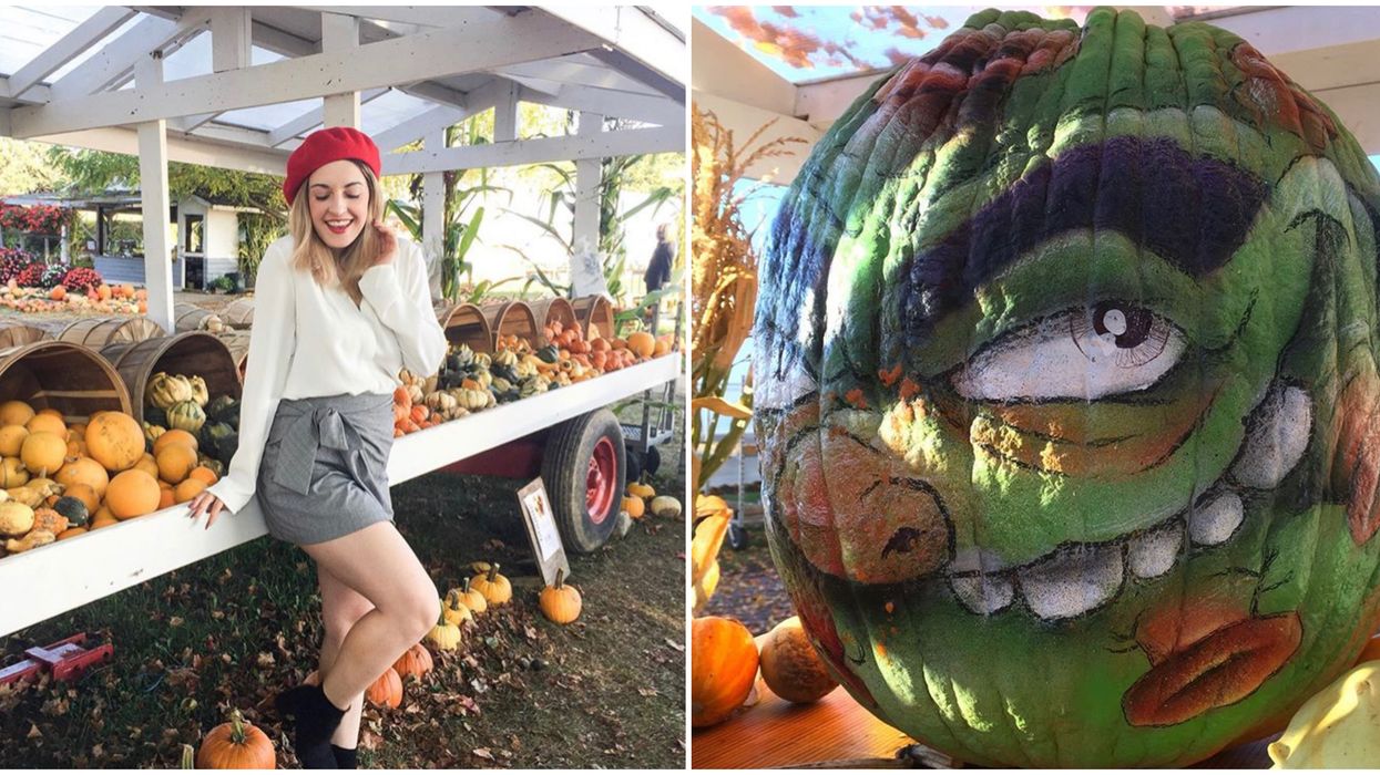 Hutchinson Farm Near Toronto Has Exotic Pumpkins & Squash Masterpieces