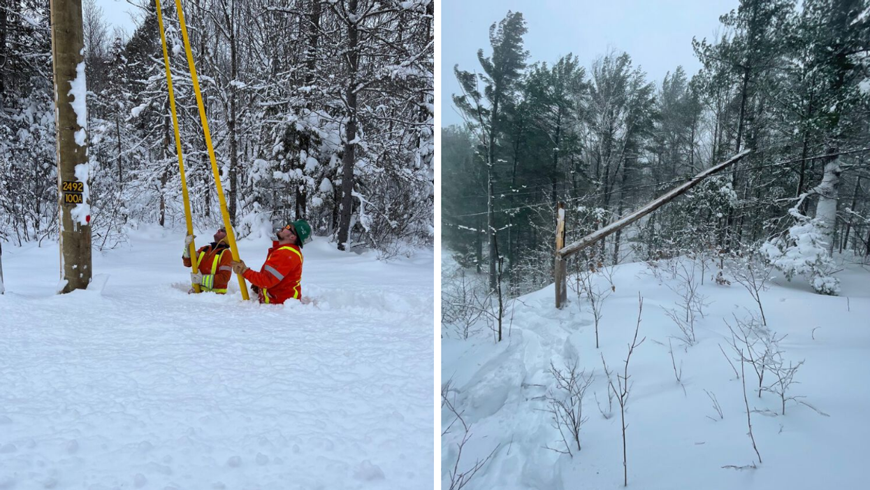 Hydro One workers trying to restore power. Right: Broken tree on power line.