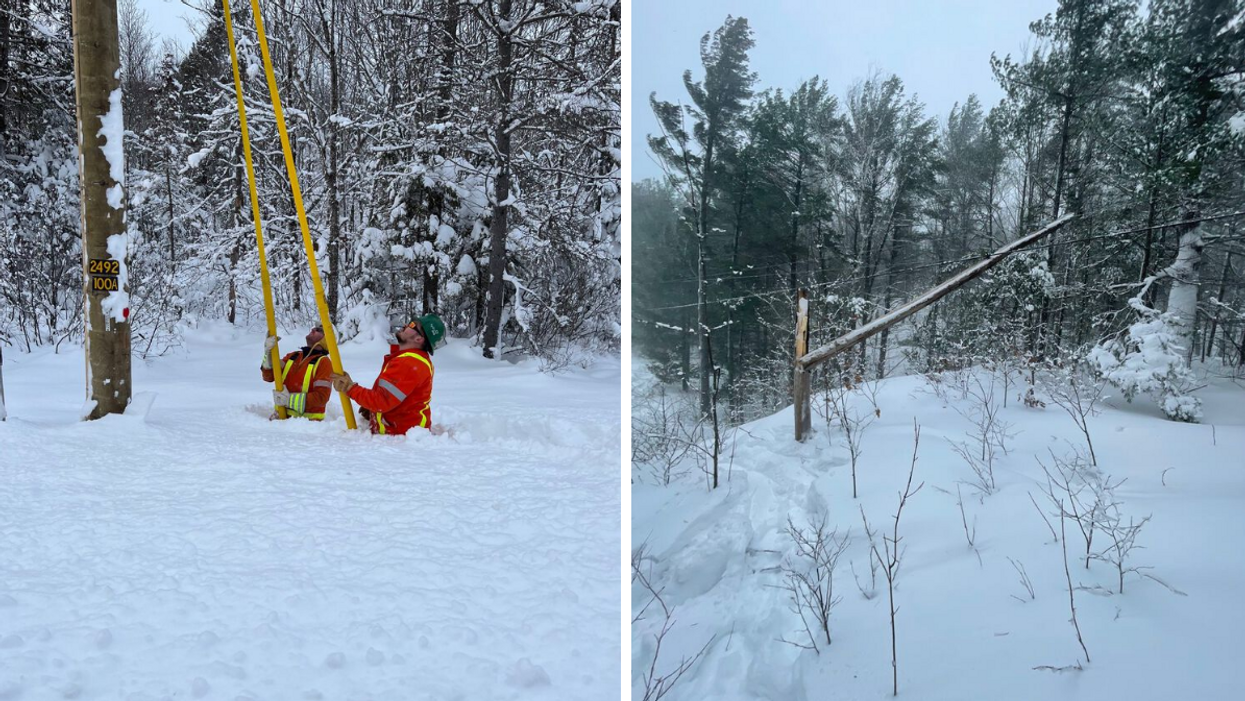 Hydro One workers trying to restore power. Right: Broken tree on power line.