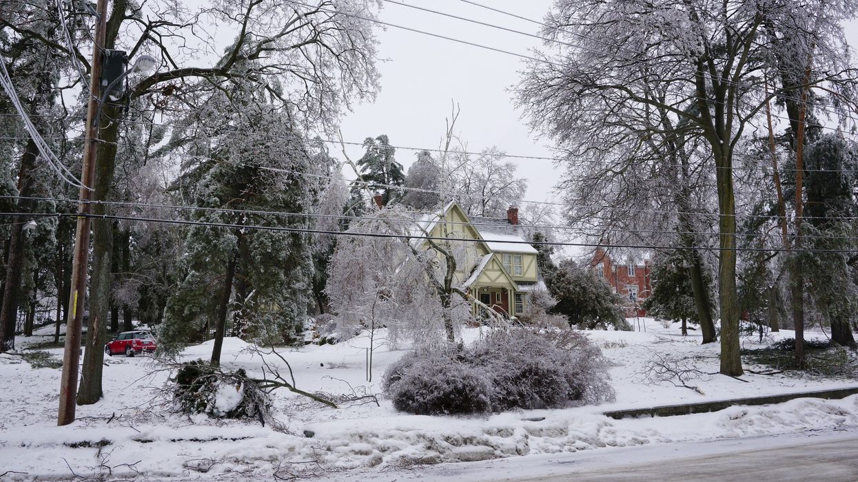 ice covered trees and roads in ontario after ice storm