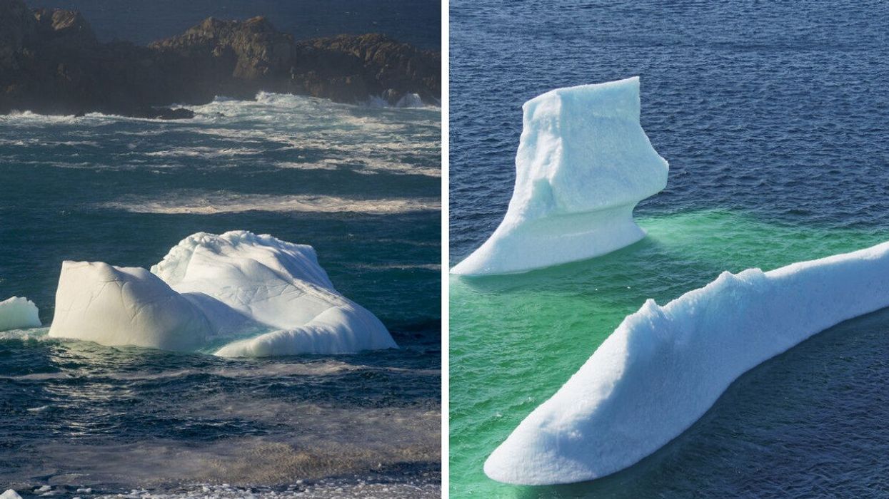 Icebergs floating by Newfoundland.