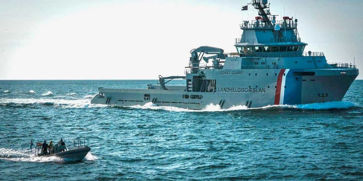 Deported Canadian activist calls anti-whaling mission a success despite ship capture Deported Canadian activist calls anti-whaling mission a success despite ship capture