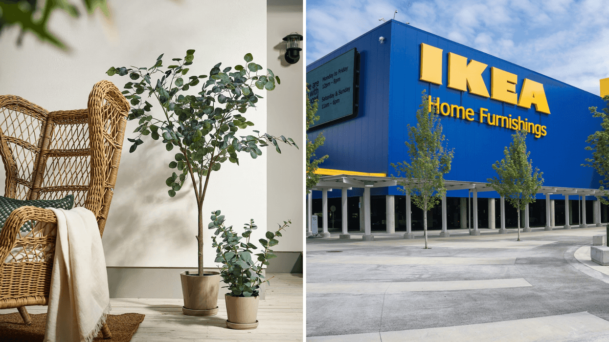 IKEA FEJKA plants next to a wicker chair. Right: The exterior of an IKEA store in Ontario.