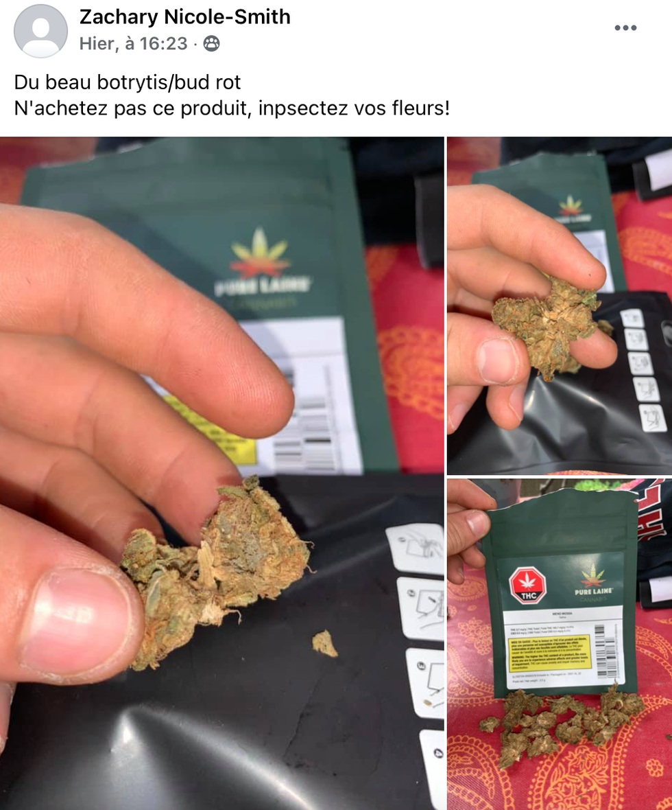Il affirme qu'il a achet\u00e9 du cannabis moisi \u00e0 la SQDC