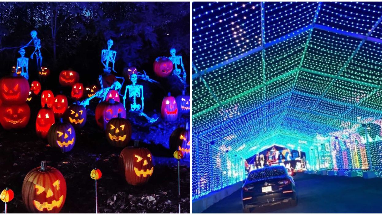Illumi : Féerie de lumières fait des nuits blanches pour l'Halloween