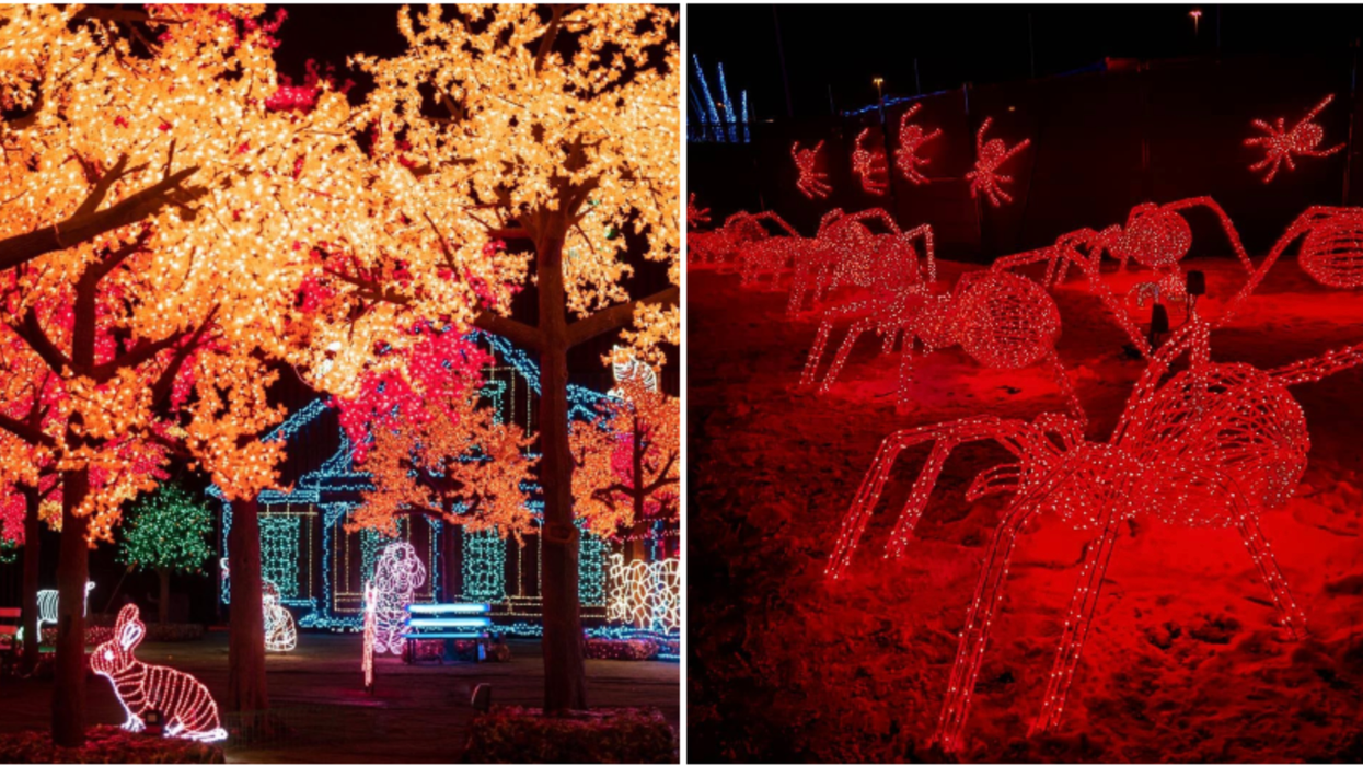 Illumi : Féerie de lumières revient avec une section Halloween