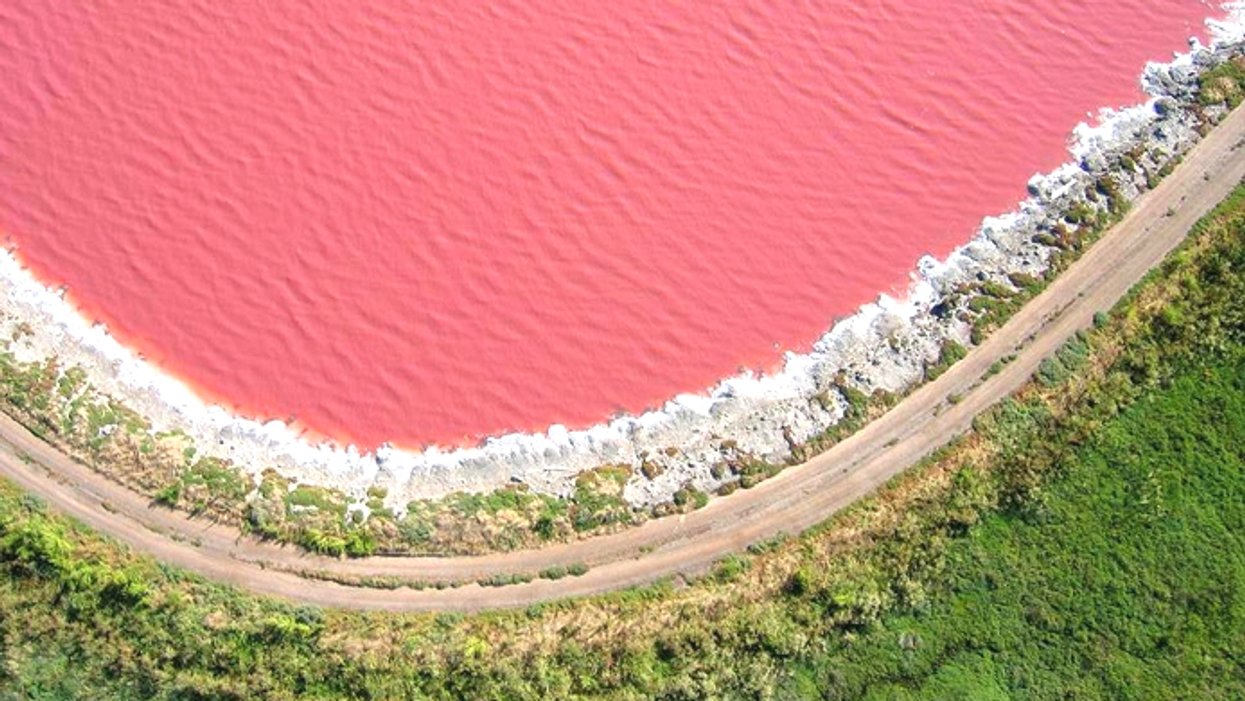This Pink Lake Is Canada's Best Kept Secret