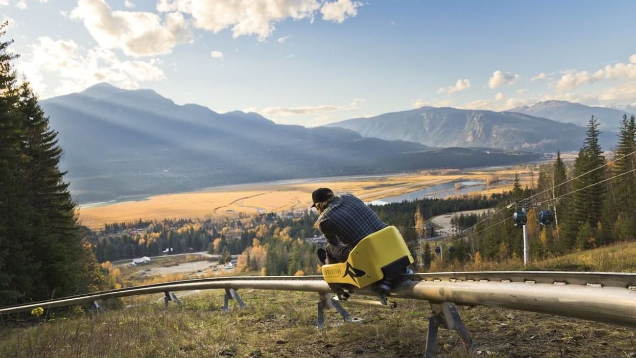 You Can Ride A 1 4 Km Mountain Coaster Through Glades And Tunnels At This B C Resort Narcity You Can Ride A 1 4 Km Mountain Coaster Through Glades And Tunnels At This B C Resort Narcity