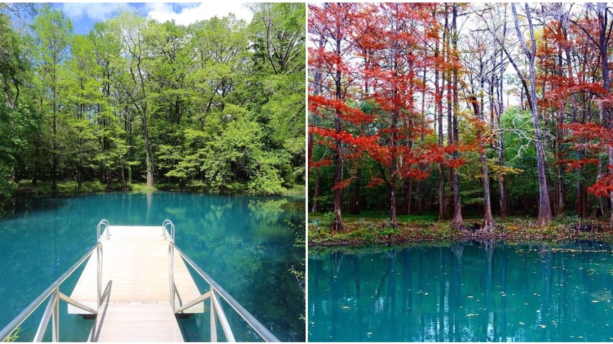 Visit Blue Spring Blue Hole Spring Florida