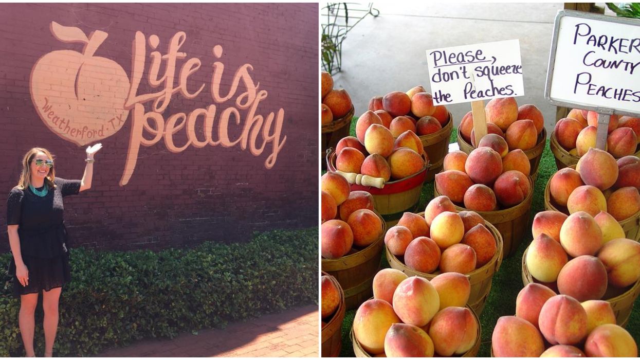 A Peach Festival Is Happening This Summer In North Texas Narcity