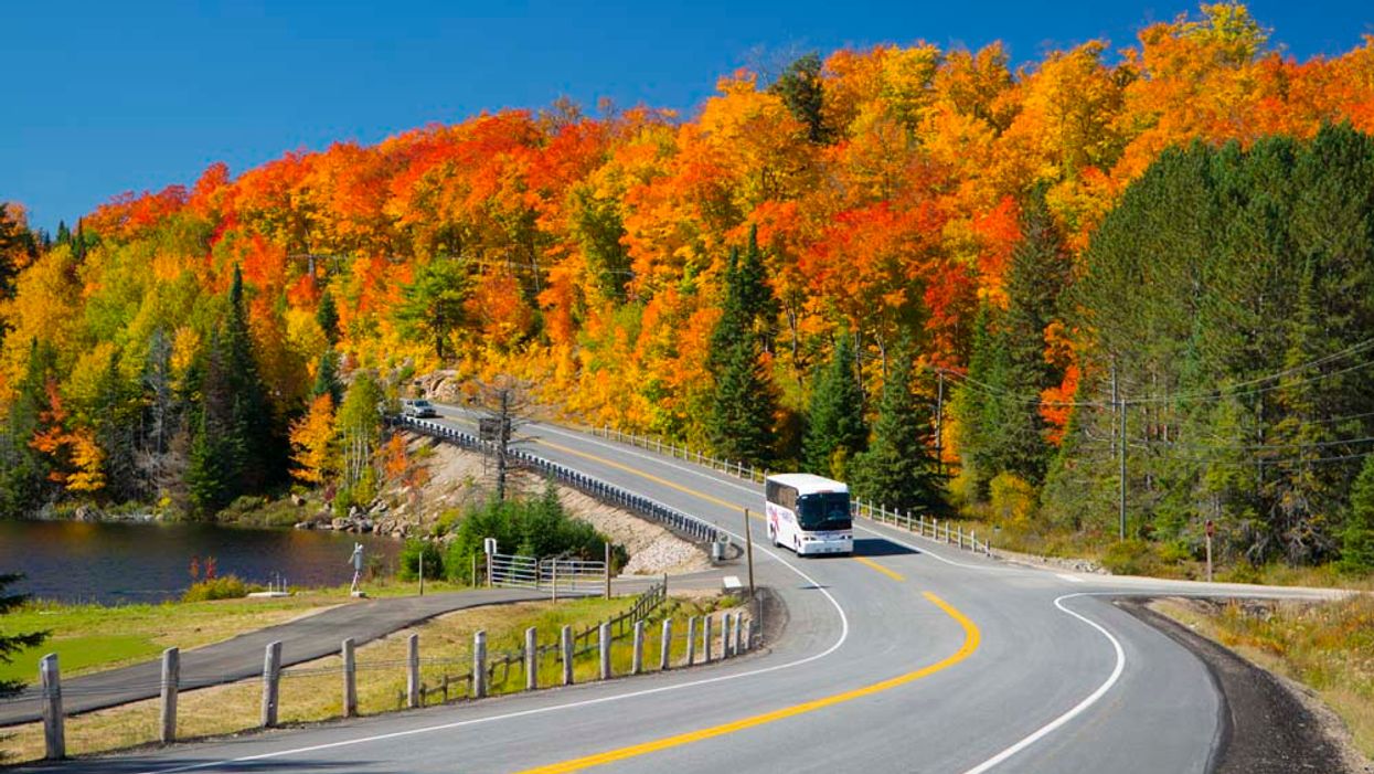 Ottawa To Gatineau Park Parkbus Rates Are Cheaper With New Service Narcity Ottawa To Gatineau Park Parkbus Rates Are Cheaper With New Service Narcity