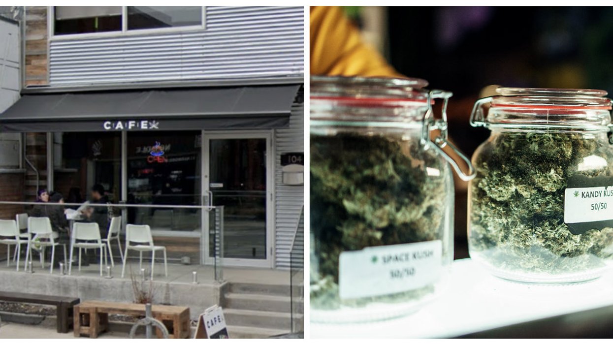 Cafe Toronto Just Won The Ontario Cannabis Lottery And People Are Confused Narcity Cafe Toronto Just Won The Ontario Cannabis Lottery And People Are Confused Narcity