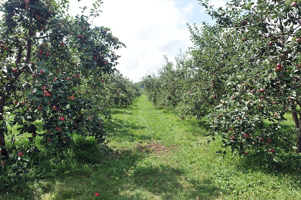 La tournée des vignobles ultime à SaintJosephduLac à 1 heure de