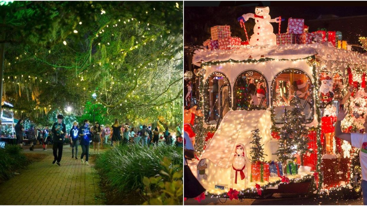 Winter Festival In Tallahassee This December Will Be Free To Attend