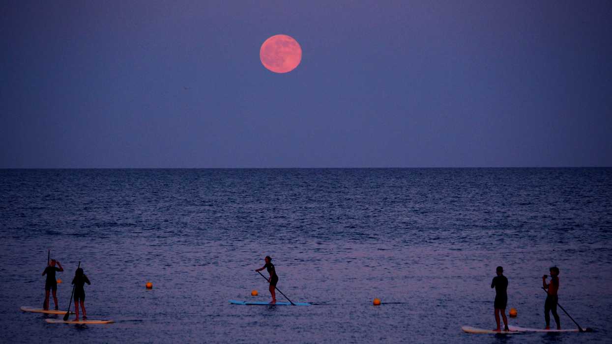 A Gorgeous Full 'Strawberry Moon' Will Rise Above Toronto Tonight (PHOTOS)