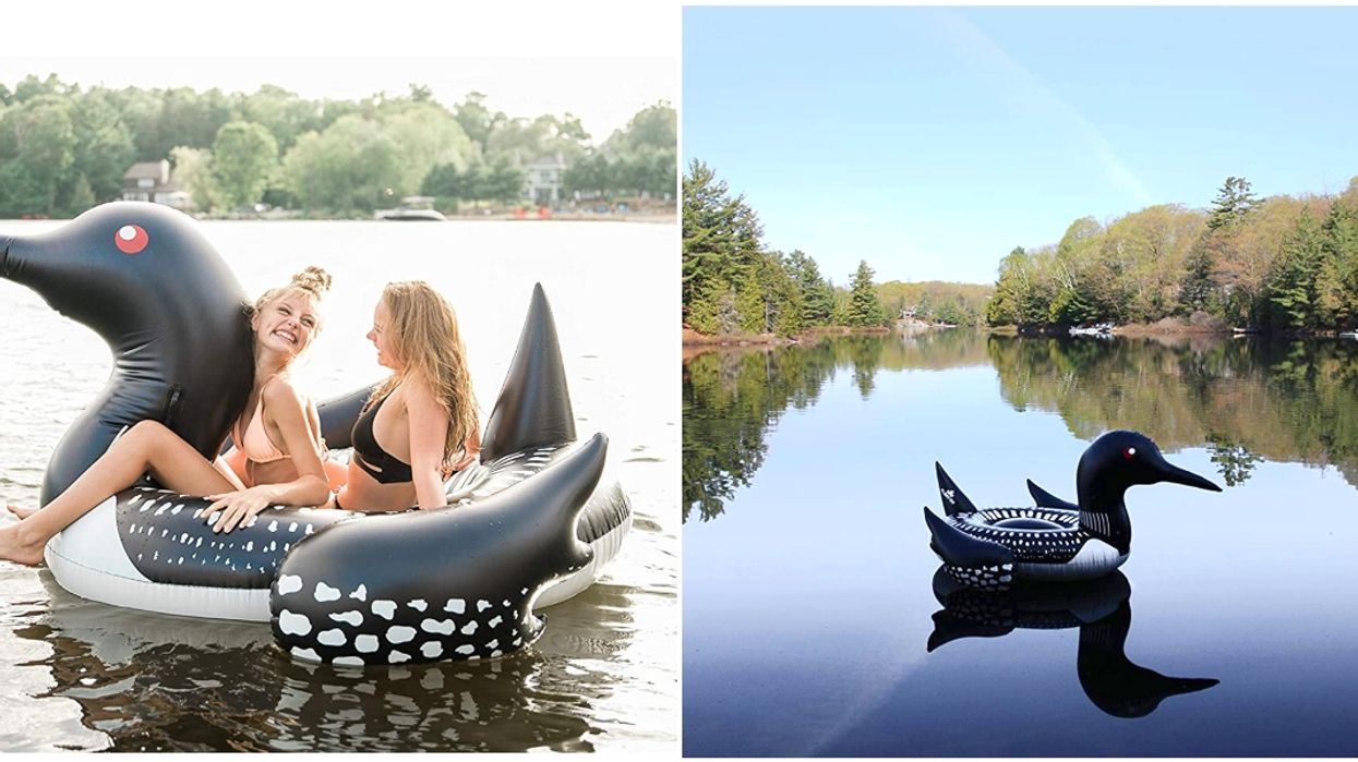 Forget About Swans, This Loon Pool Float Is Exactly What You Need For Canada Day