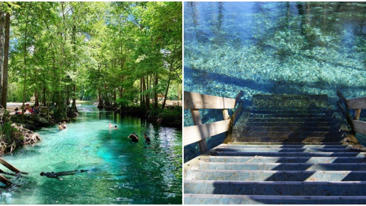 6 Clear Blue Springs Near Tallahassee To Take A Dip In This Weekend
