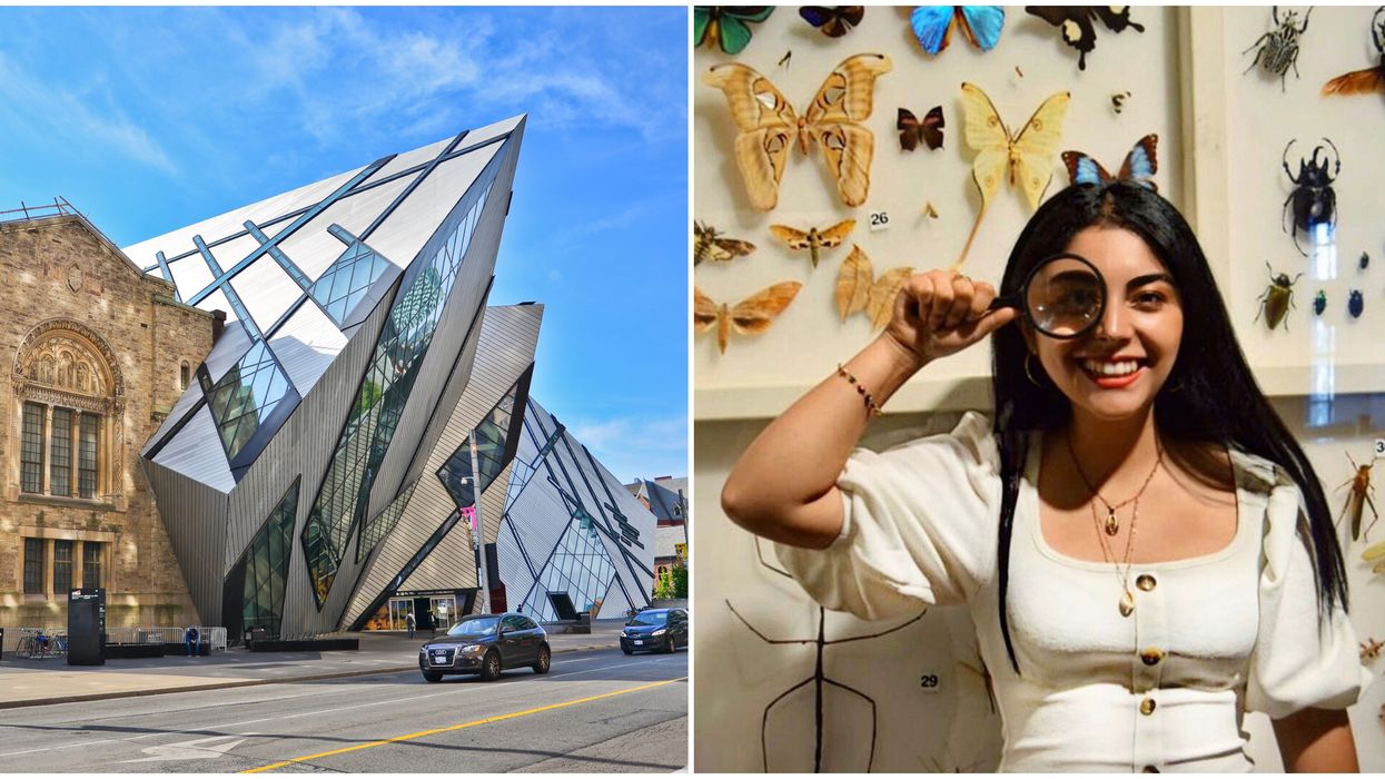 The ROM Is Officially Reopening Next Month But Tickets Will Be Limited