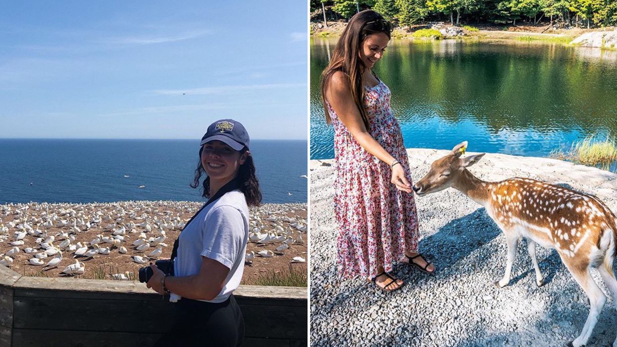 7 endroits où voir des animaux en nature au Québec quand tu n'en peux plus des humains