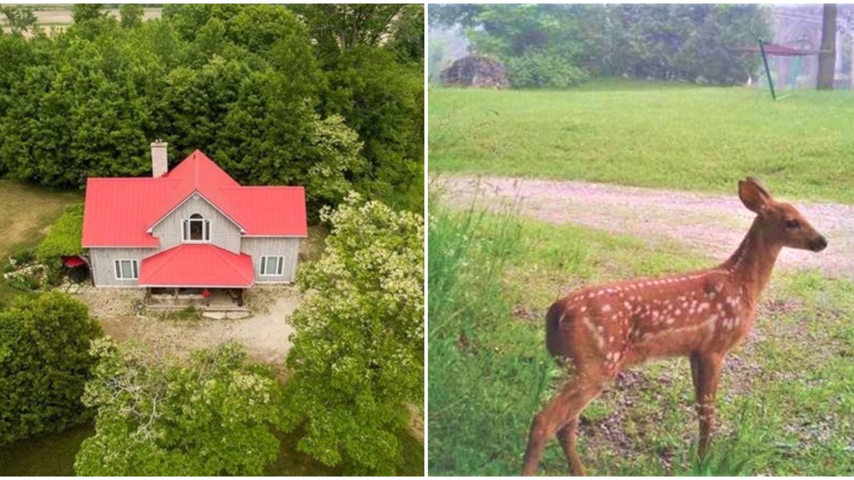 This House For Sale In Ontario Comes With 100-Acre 'Winnie The Pooh' Woods