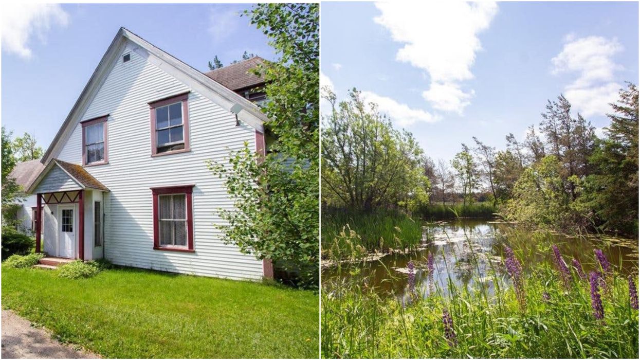 This 4-Bedroom House For Sale In New Brunswick Has A Huge Backyard Pond & Costs Just $85K
