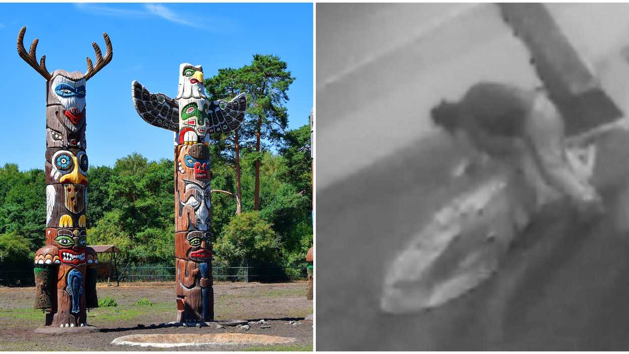 BC First Nations’ Totem Poles Are Under Threat If More Historical Statues Get Defaced