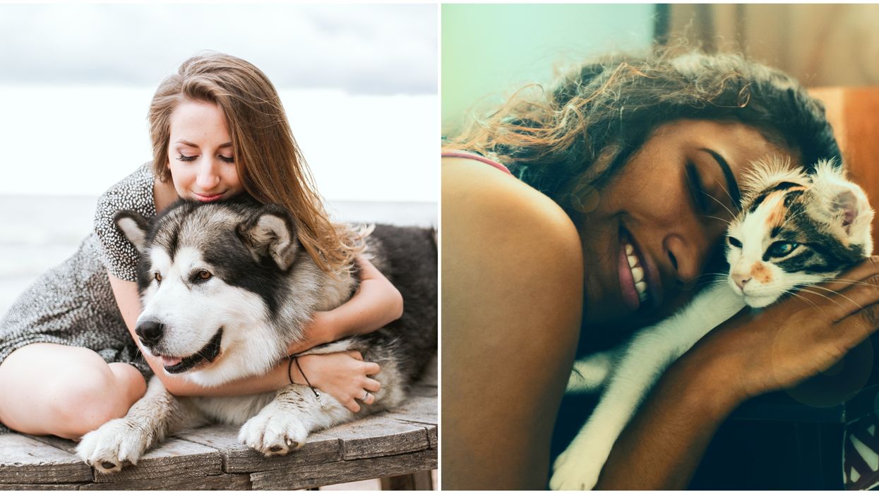 11 Canadian-Made Products To Spoil Your Dog Or Cat With