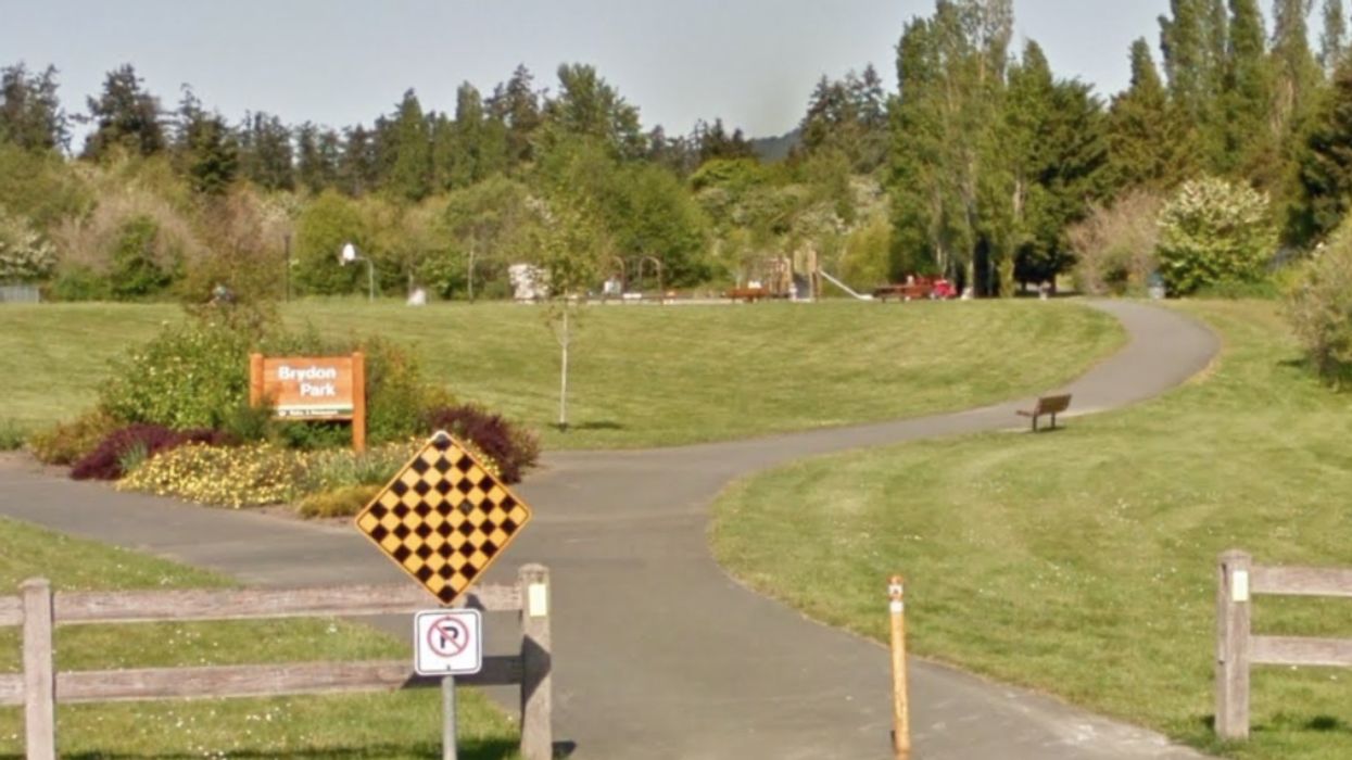 A Man In BC Got Assaulted After Calling Out A Dog Owner For 'Choking And Punching' His Dog
