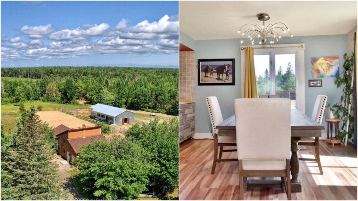 New Brunswick House For Sale Has Enough Space For 100 Pets & Costs Just $180K (PHOTOS)