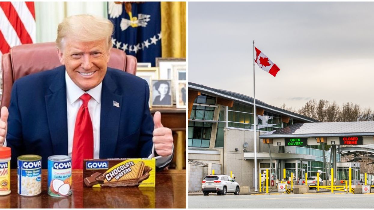 Trump Spokesperson Says He's "Not Sure Why You'd Want To Go To Canada" On Live TV