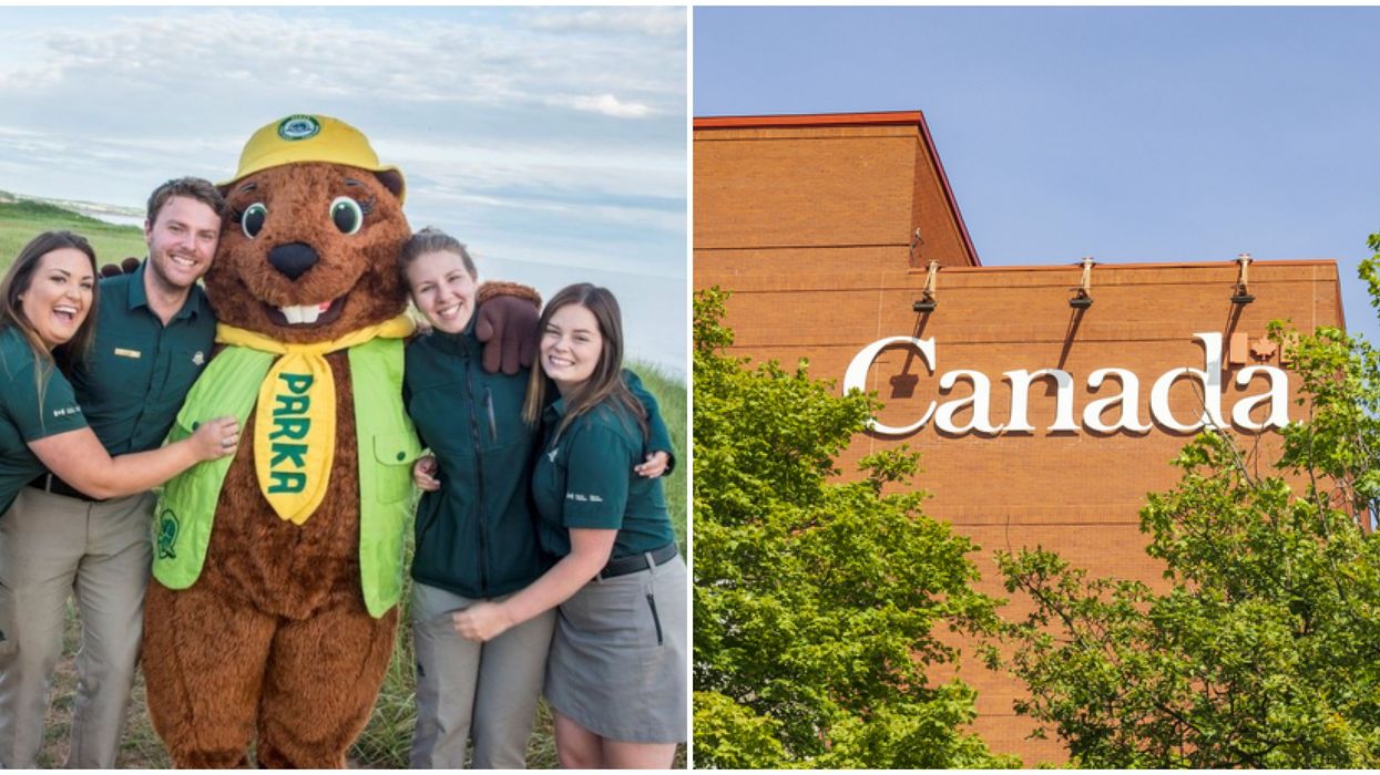 6 Government Jobs You Can Get In Ontario Right Now With Minimal Experience